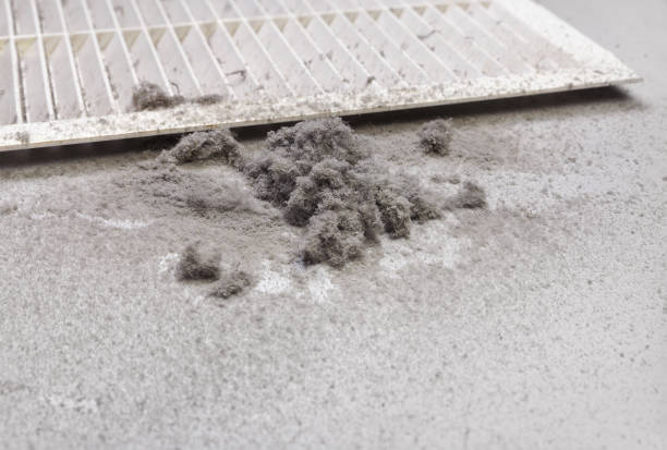 Best Affordable HVAC Duct Cleaning  in Lighthouse Point, FL