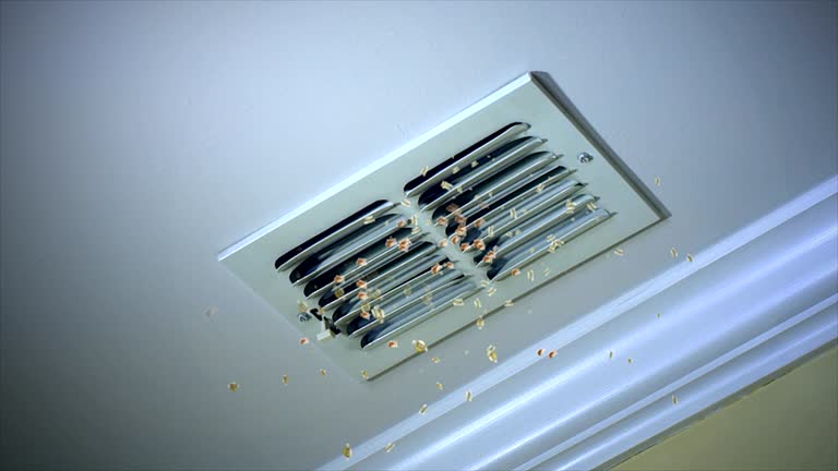 Best Ductwork Cleaning Services  in Lighthouse Point, FL