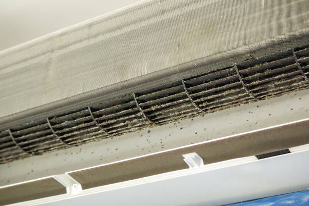 Best Best Air Duct Cleaning Company  in Lighthouse Point, FL